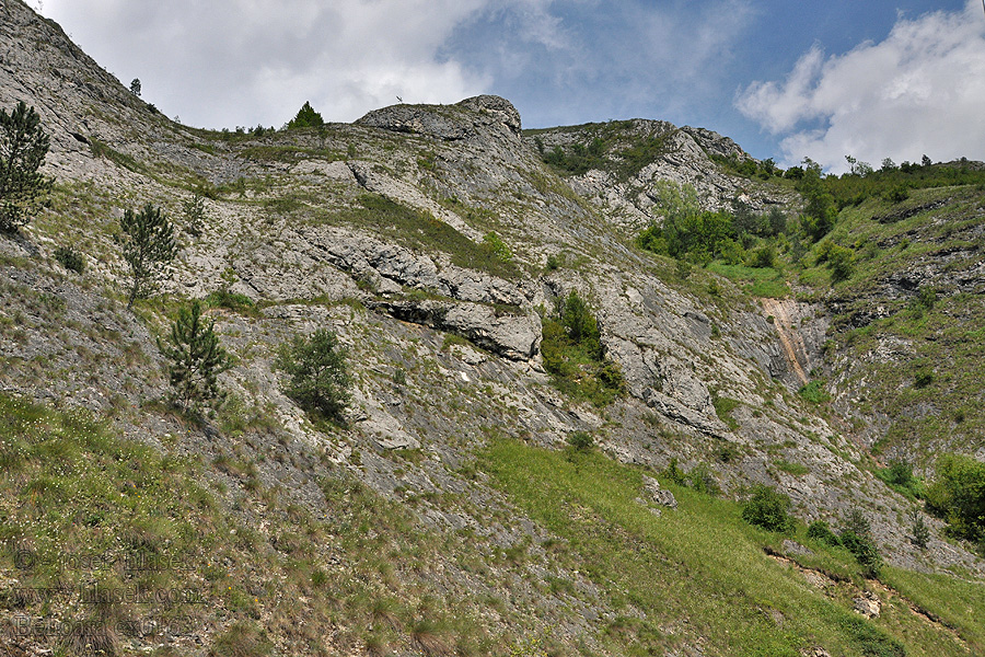 Scăriţa Belioara pohoří Apuseni Pasmo górskie Hegyvidék Cordillera
