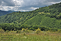 Apuseni_cv9321