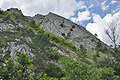 Belioara_cx0159