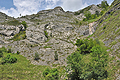 Belioara_cx0161