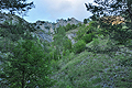 Belioara_cx0167