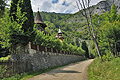 Belioara_Schitul_cx0150