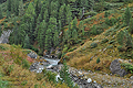 Jagdhausalm_cz7315