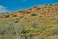 Kalahari_bb1169