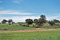 Kalahari_bb2397