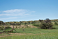 Kalahari_bb2398