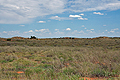 Kalahari_bb2669