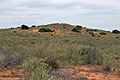 Kalahari_bb2670