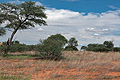 Kalahari_bb2911