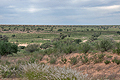 Kalahari_bb2916