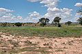 Kalahari_bb3456