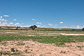 Kalahari_bb3458