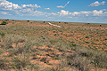 Kalahari_bb3697