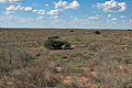 Kalahari_bb3700