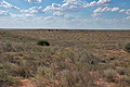 Kalahari_bb3702