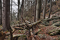 Ptačí stěna_j0495