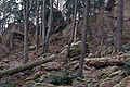 Ptačí stěna_j0503s