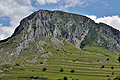 Rimetea_coltii_cx1644