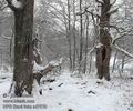 Stara_reka_ad7578