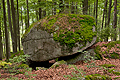 Stříbrný_vrch_bi1100